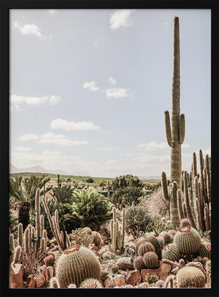 Desert Symphony | Poster