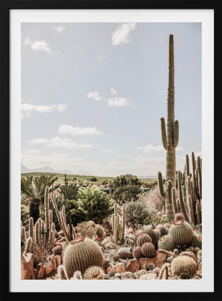 Desert Symphony | Poster