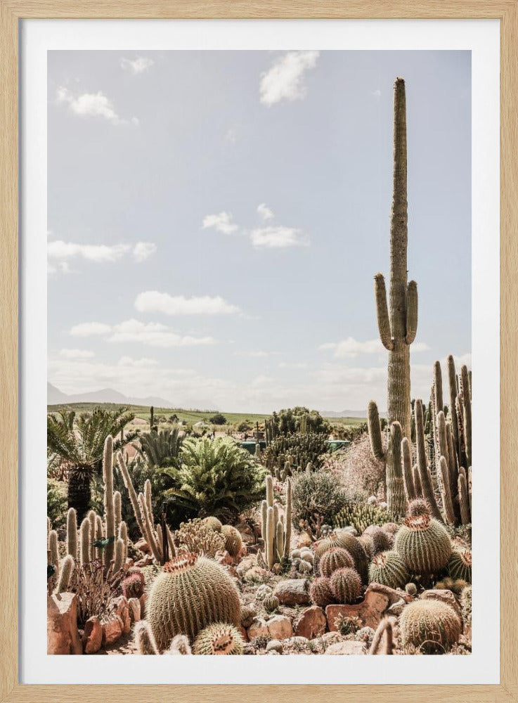 Desert Symphony | Poster