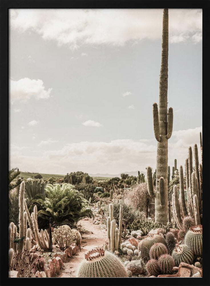 Cactus Farm | Poster