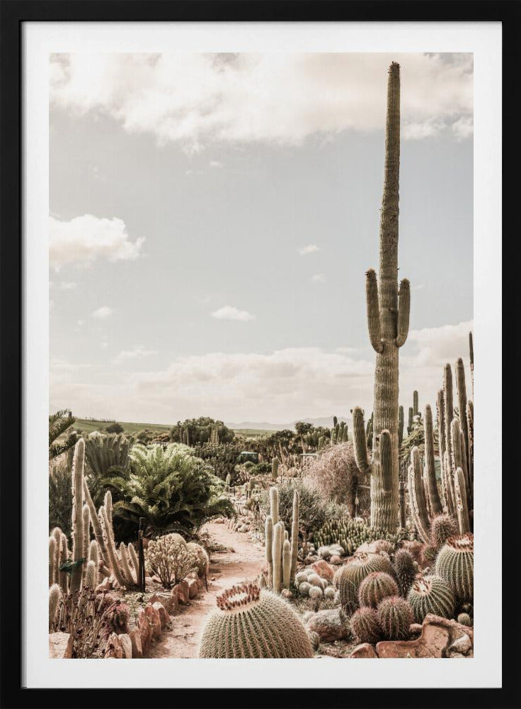 Cactus Farm | Poster
