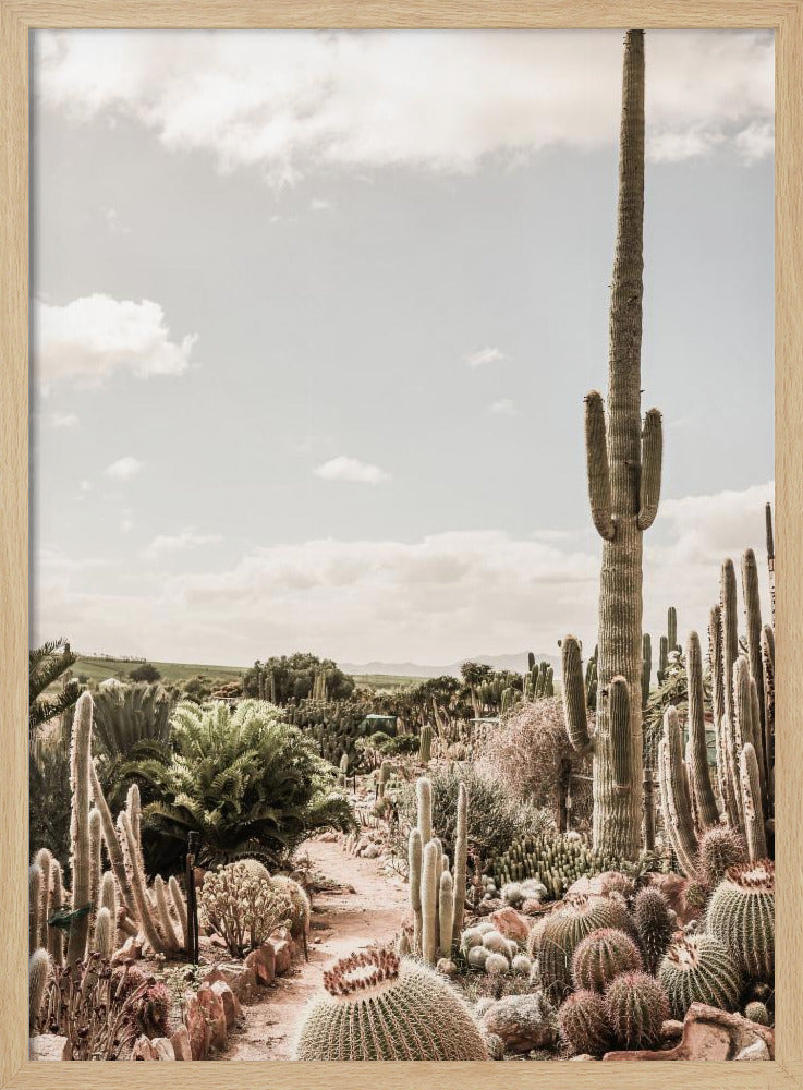 Cactus Farm | Poster