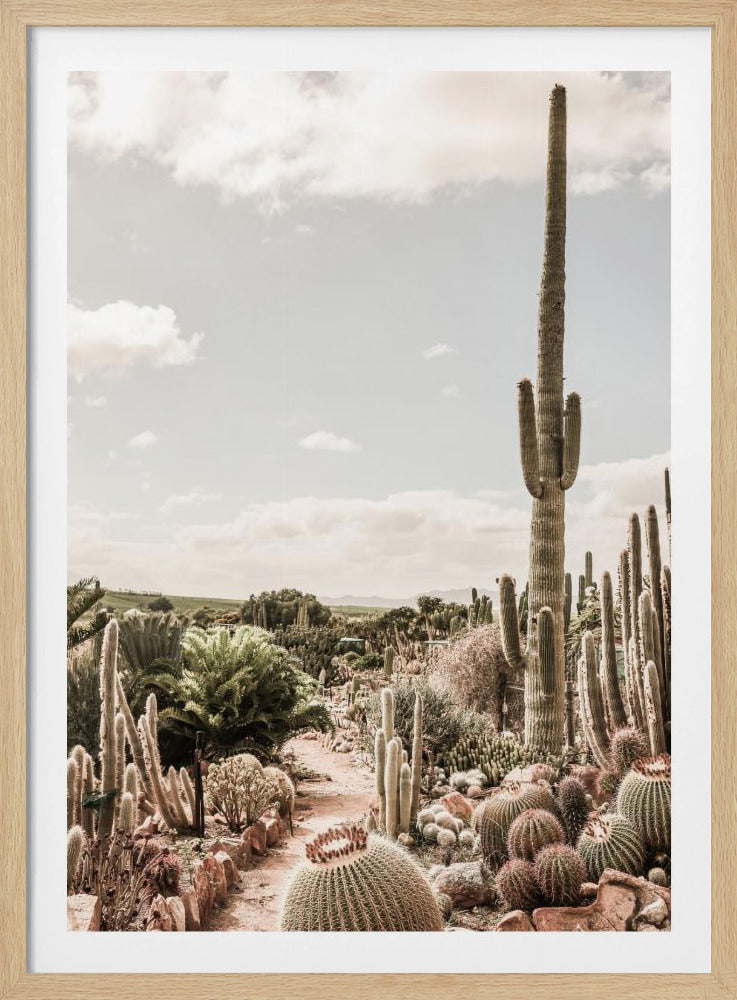 Cactus Farm | Poster