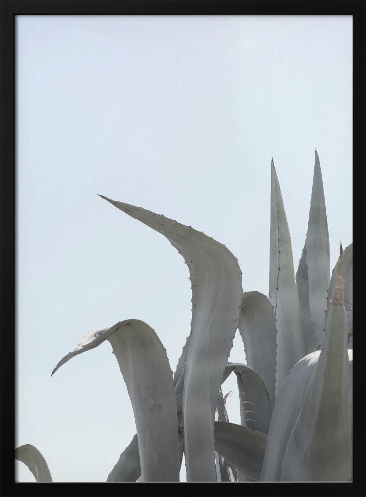 Azure Agave Dreams | Poster