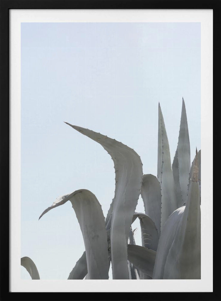 Azure Agave Dreams | Poster
