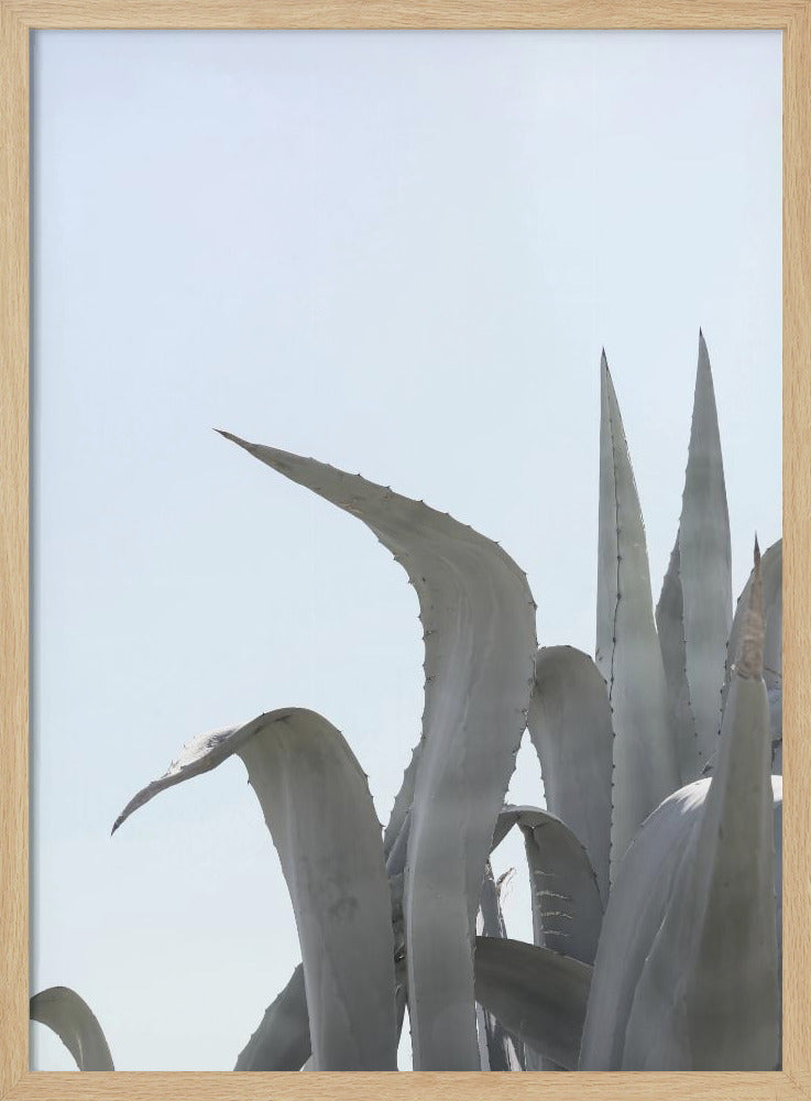 Azure Agave Dreams | Poster