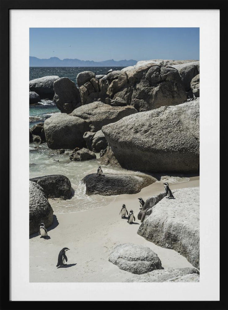 Penguins&#039; Coastal Stroll | Poster