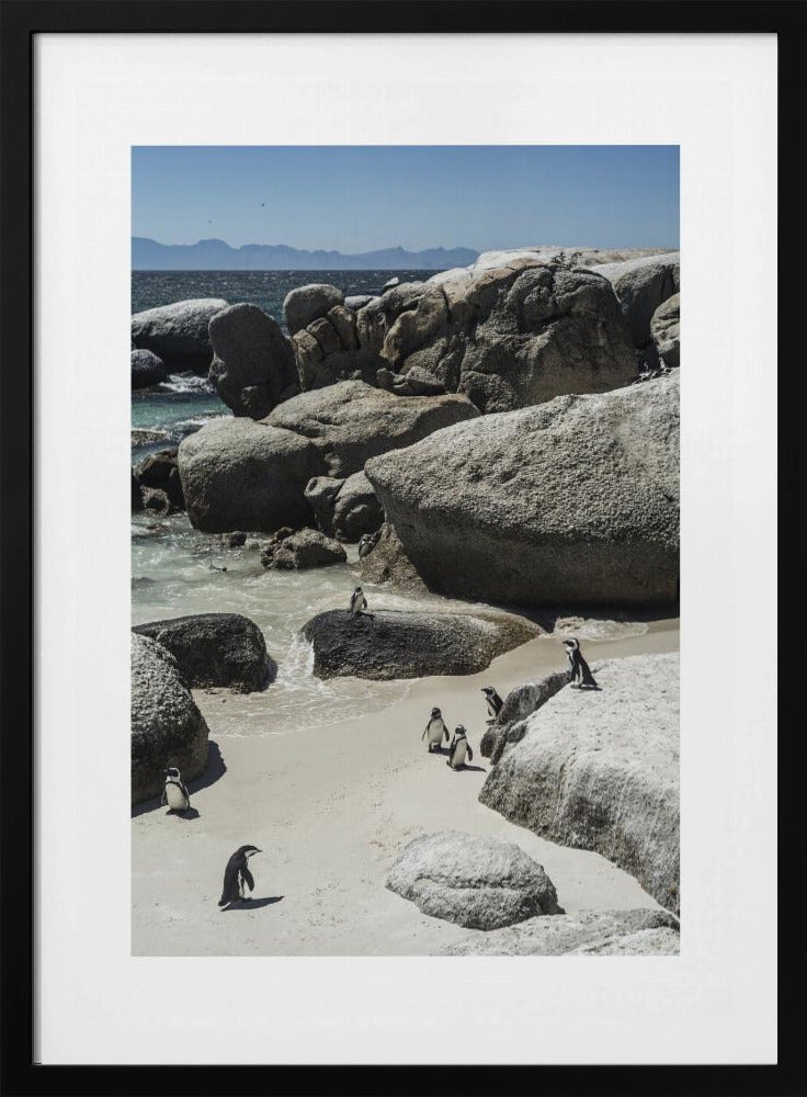 Penguins&#039; Coastal Stroll | Poster