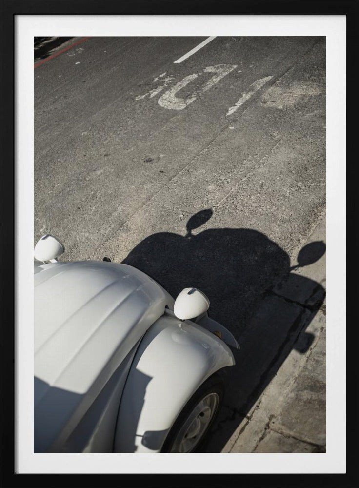 Classic Curve Shadows | Poster