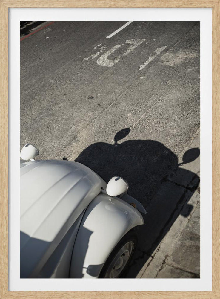 Classic Curve Shadows | Poster