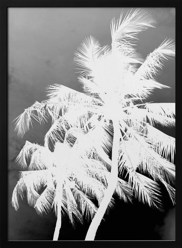 Inverted Palms | Poster