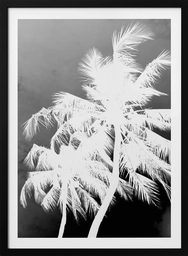 Inverted Palms | Poster