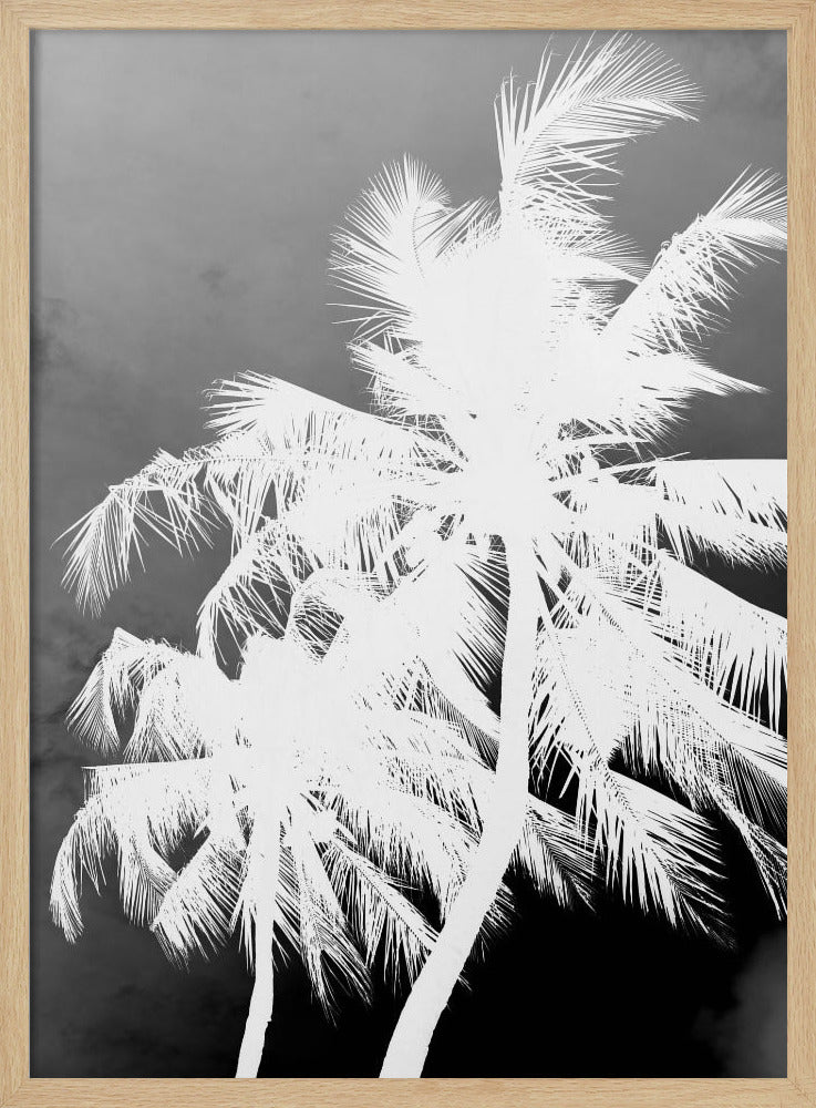 Inverted Palms | Poster