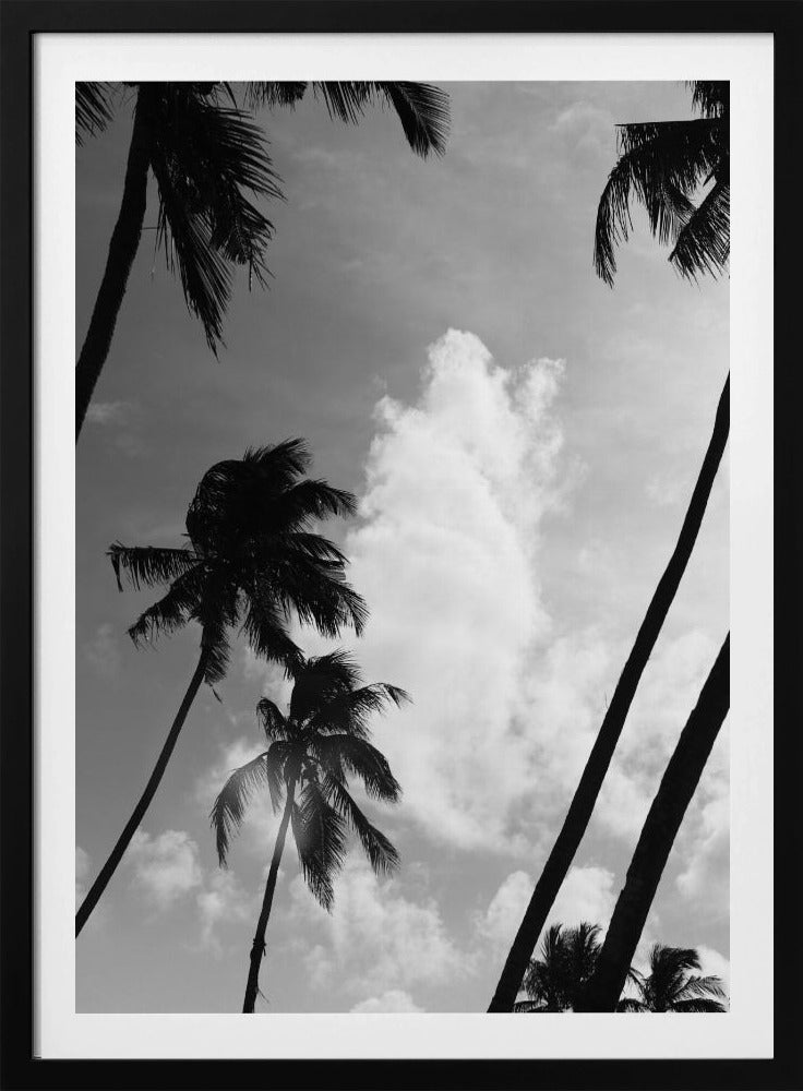 Silhouetted Palms | Poster