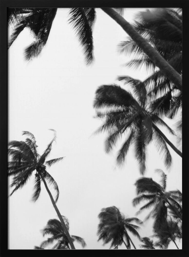 Swaying Palms | Poster