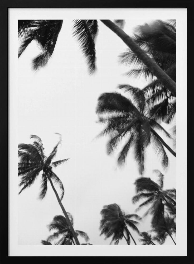 Swaying Palms | Poster