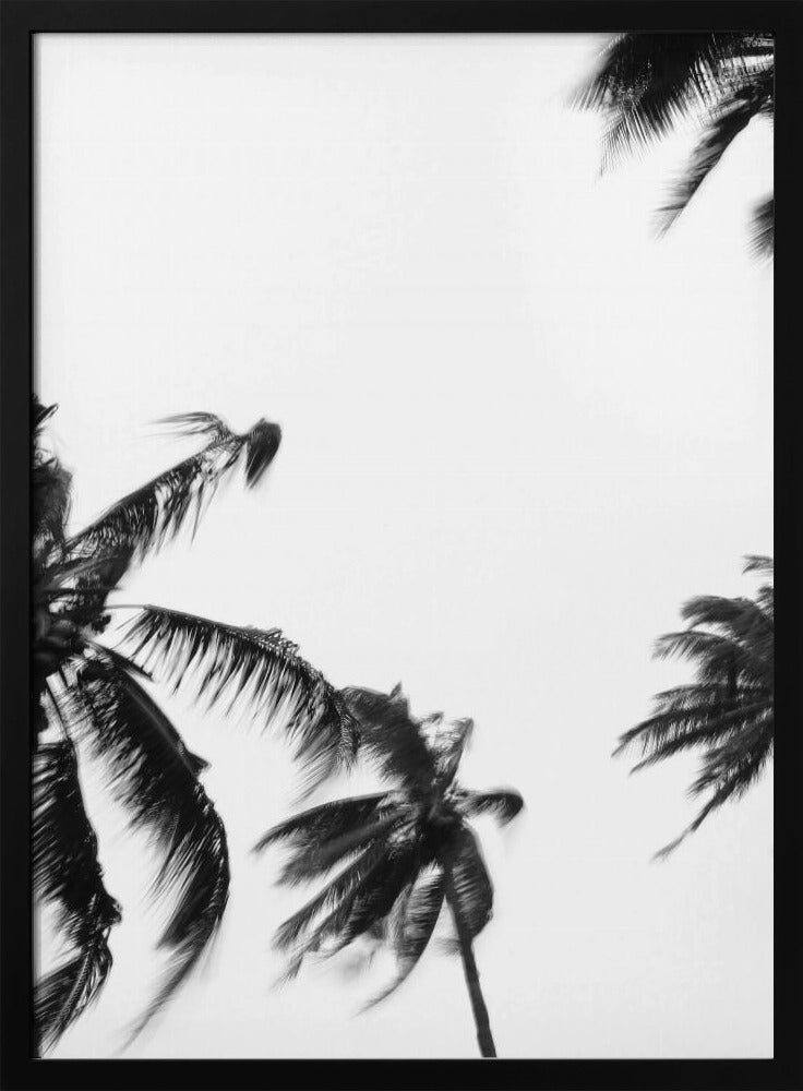 Swaying Palms | Poster