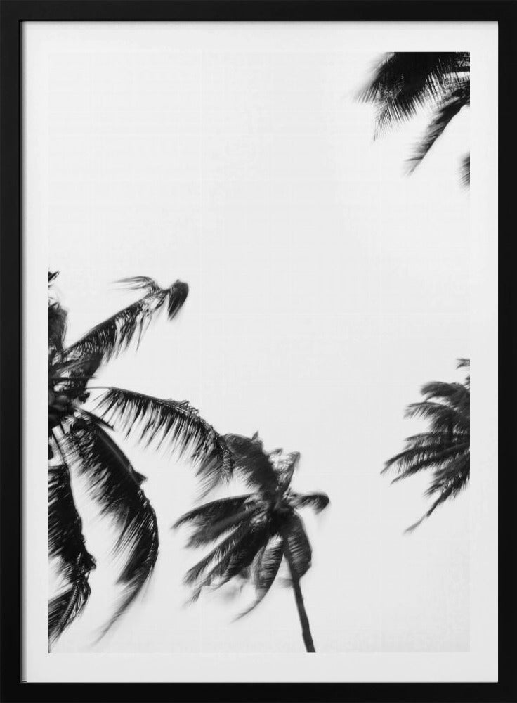 Swaying Palms | Poster