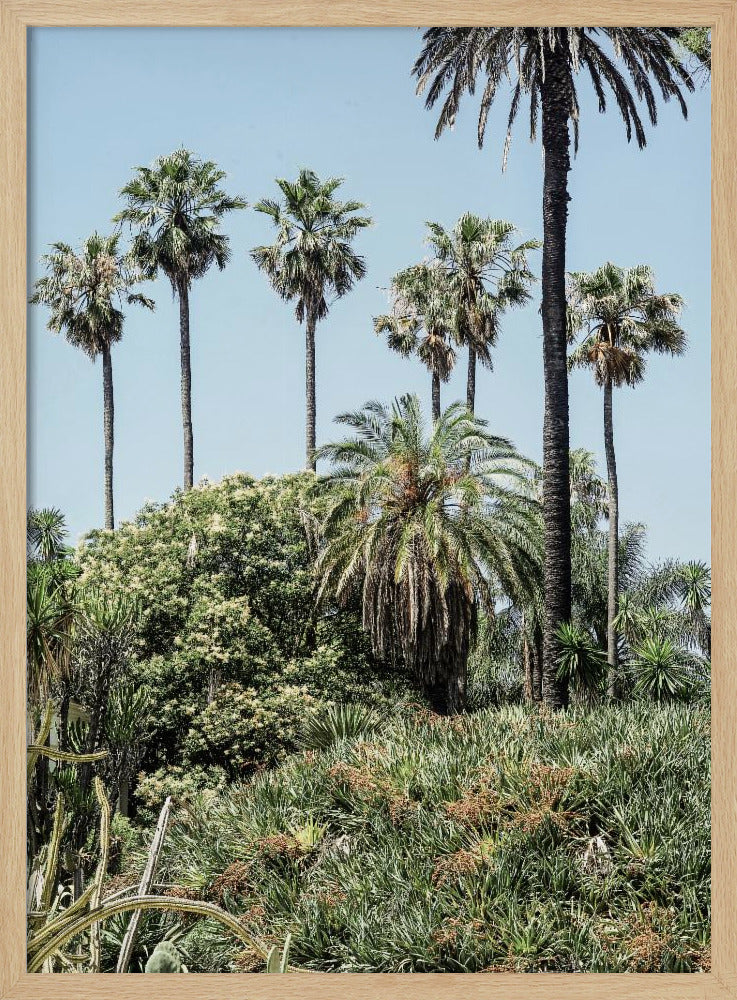 Tropical Serenity | Poster