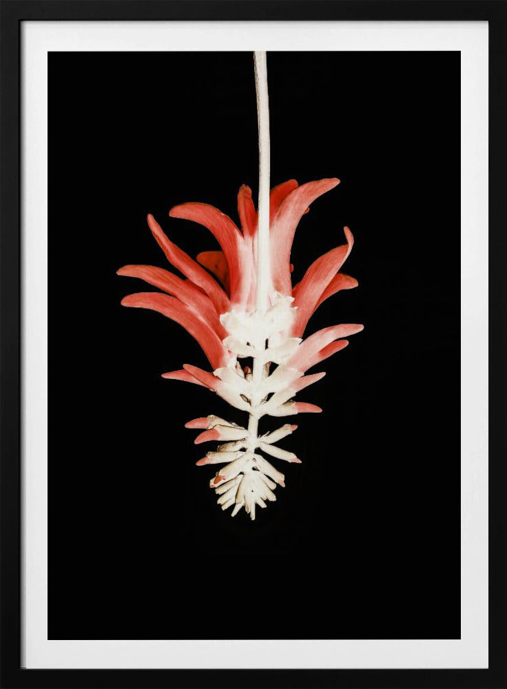 Petal Skeleton Fusion | Poster