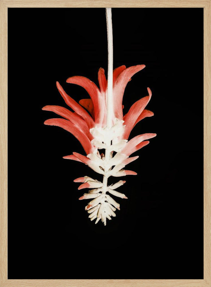 Petal Skeleton Fusion | Poster