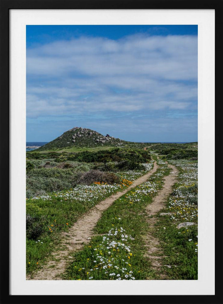 Pathway to Serenity | Poster