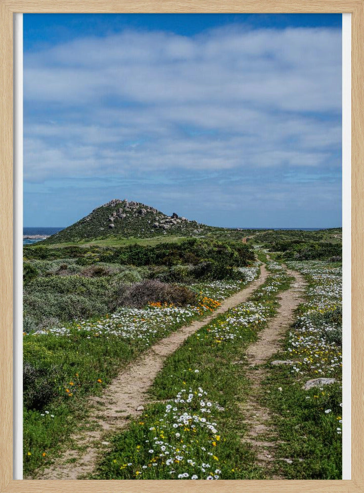 Pathway to Serenity | Poster