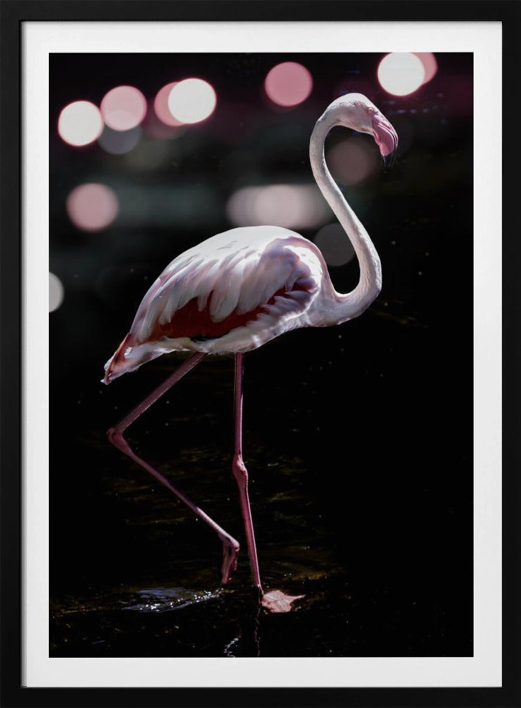 Elegant Flamingo | Poster