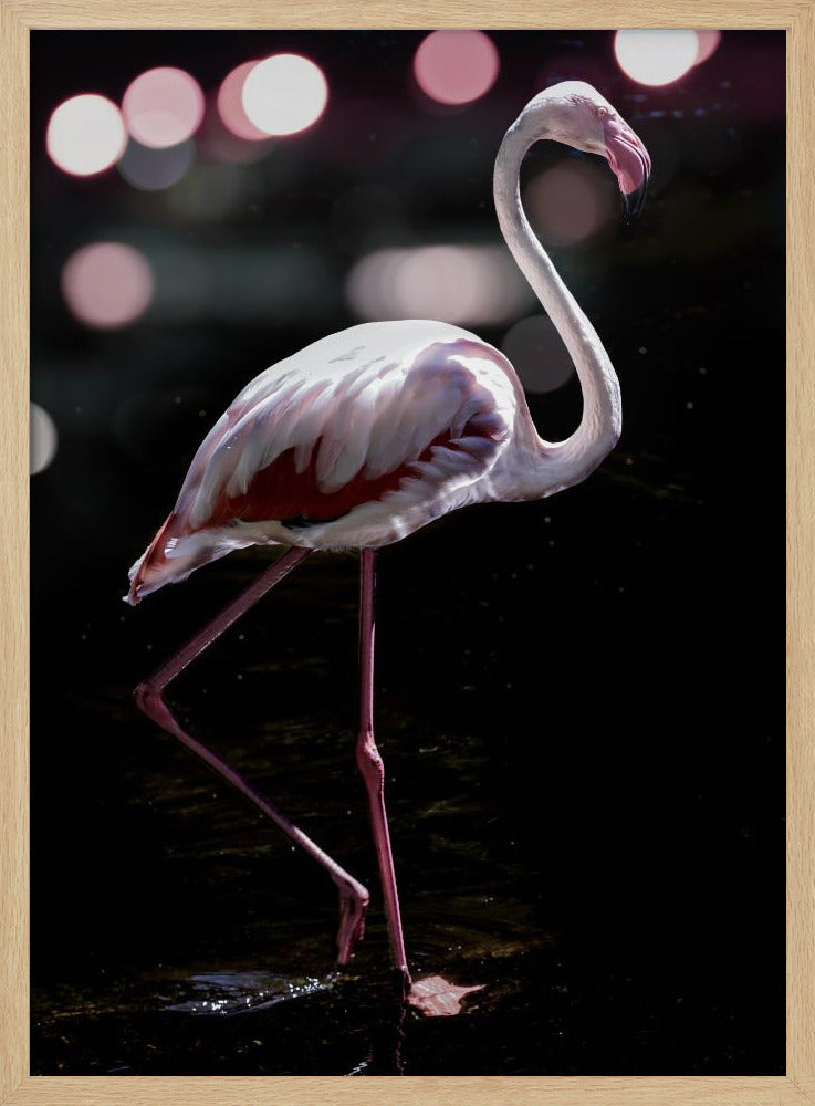Elegant Flamingo | Poster