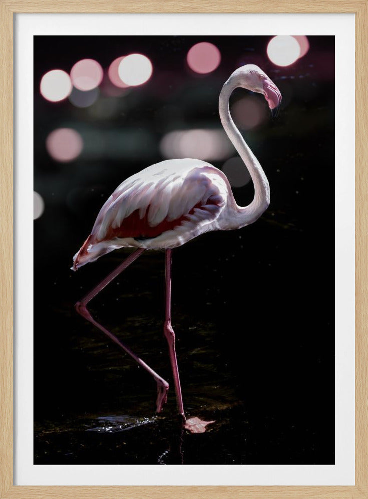 Elegant Flamingo | Poster