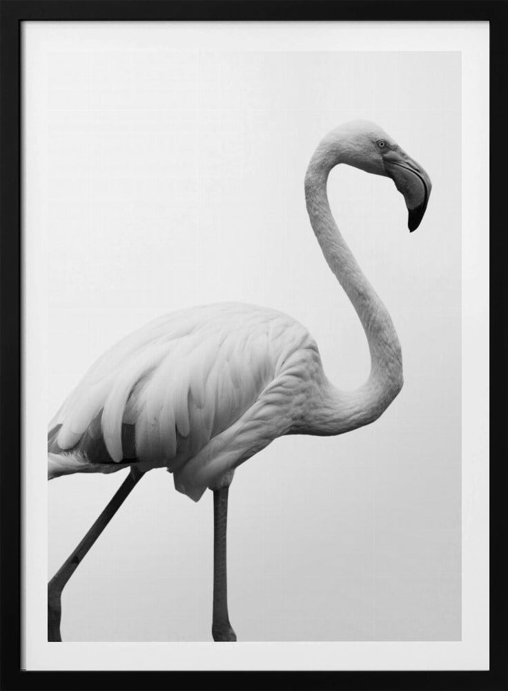 Graceful Silhouette | Poster