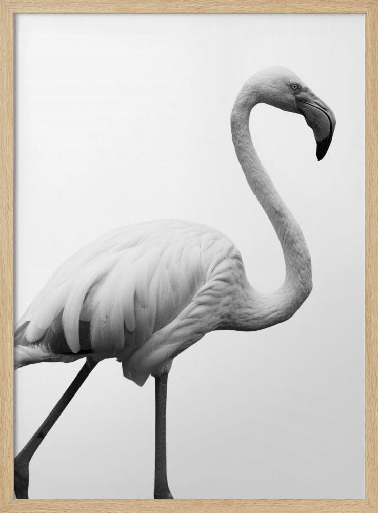 Graceful Silhouette | Poster