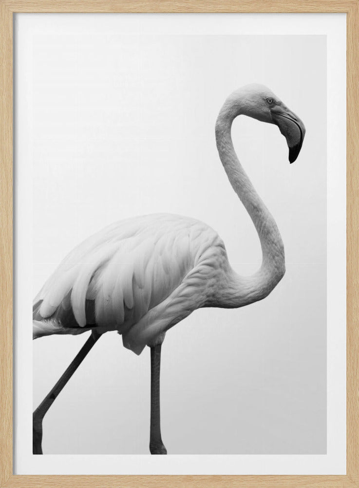 Graceful Silhouette | Poster