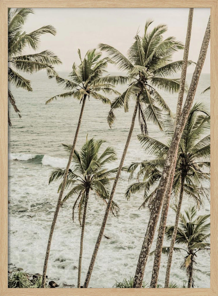 Coastal Serenity | Poster