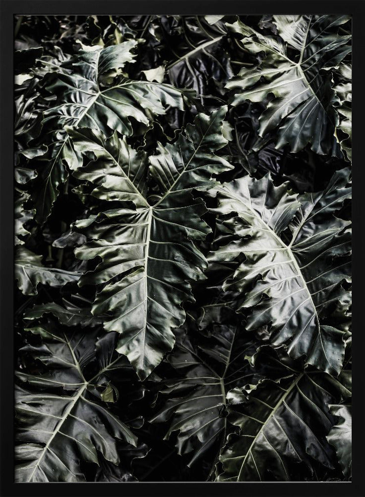 Lush Leaf Symphony | Poster