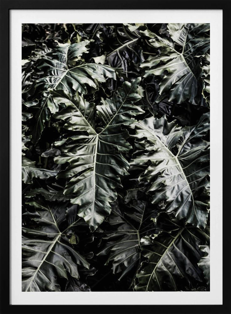 Lush Leaf Symphony | Poster