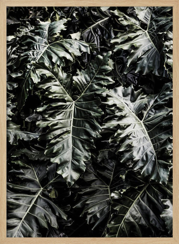 Lush Leaf Symphony | Poster