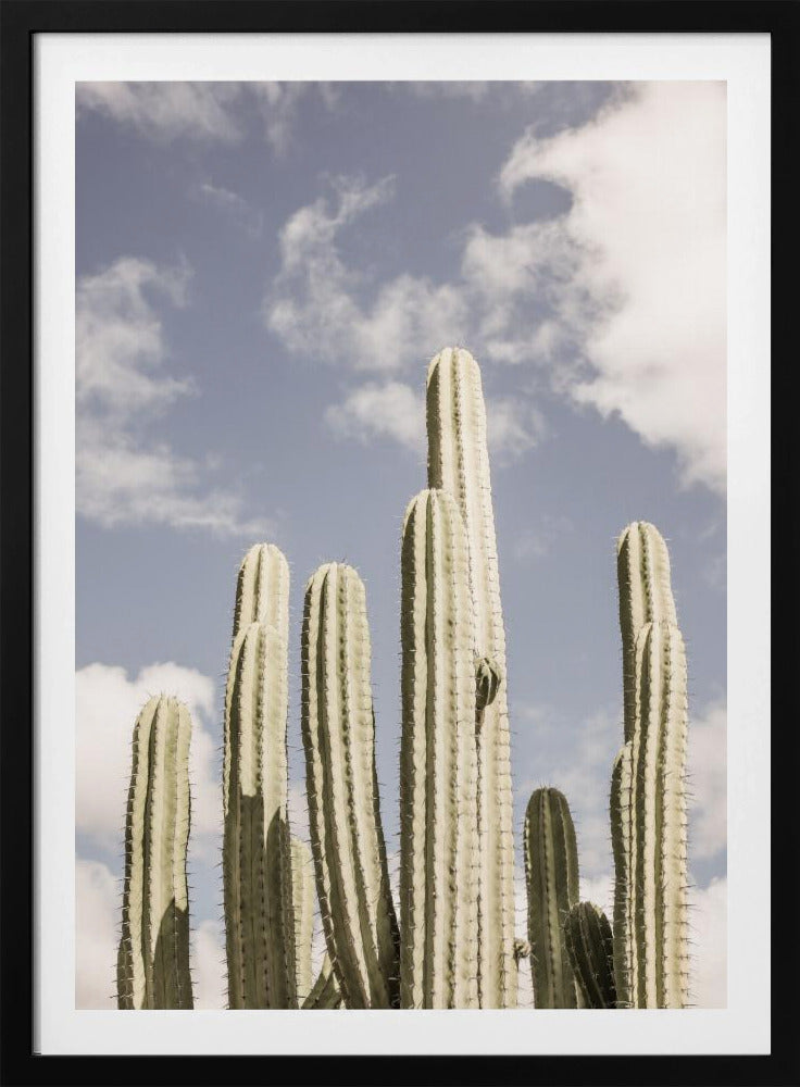 Desert Sentinels | Poster