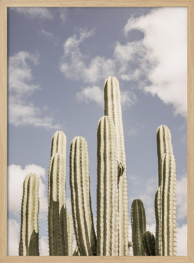 Desert Sentinels | Poster