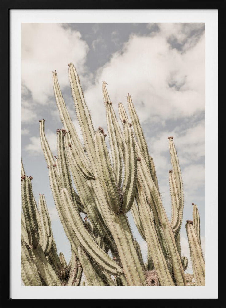 Desert Sentinels | Poster