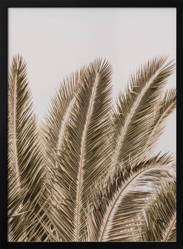 Windswept Palms | Poster