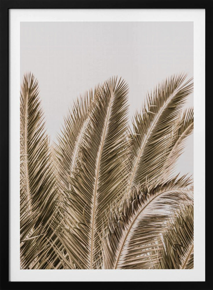 Windswept Palms | Poster