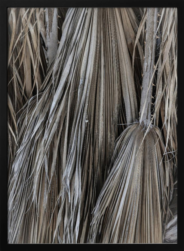 Rustic Palm Texture | Poster