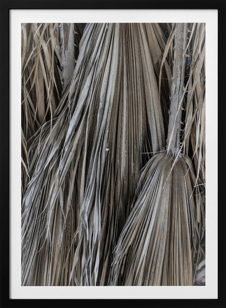 Rustic Palm Texture | Poster