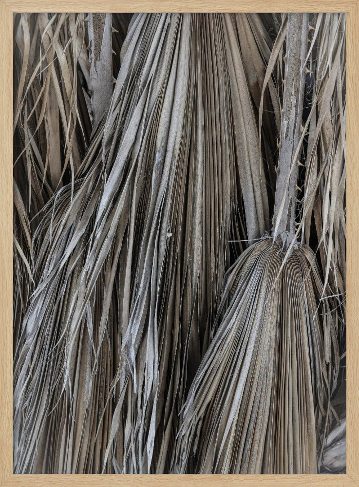 Rustic Palm Texture | Poster
