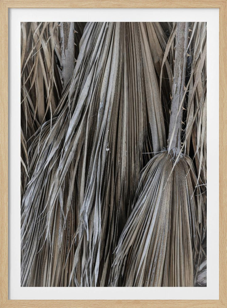 Rustic Palm Texture | Poster
