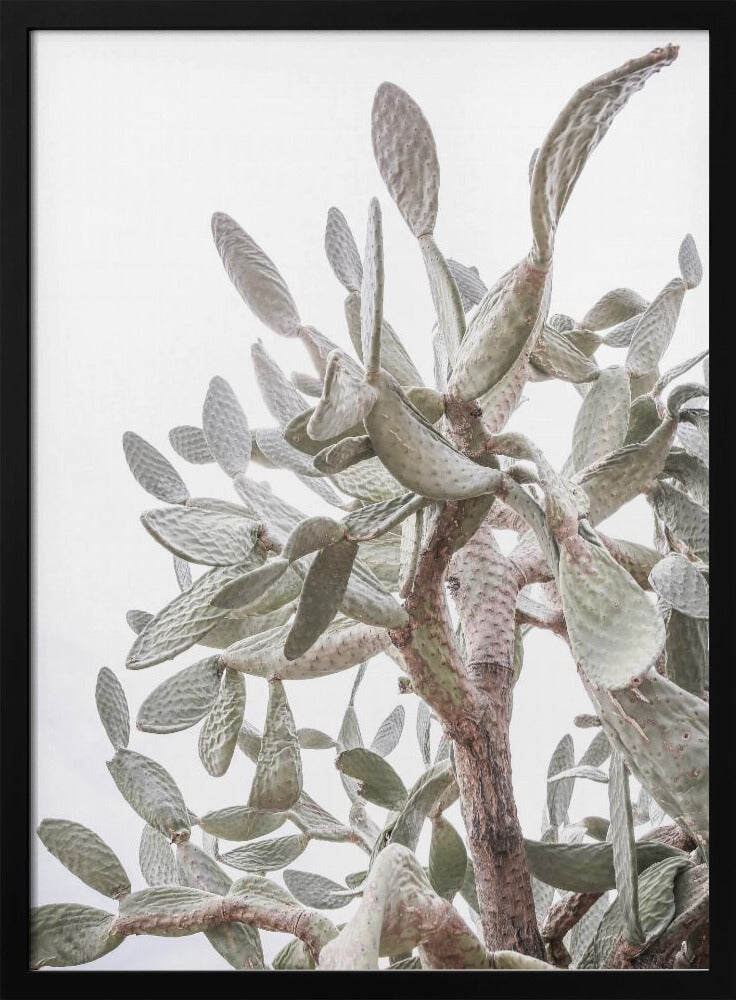 Cactus Whispers | Poster