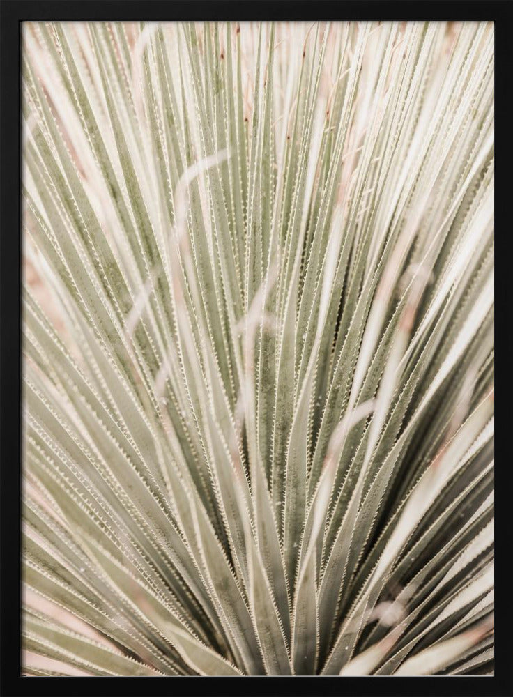 Spiky Serenity | Poster