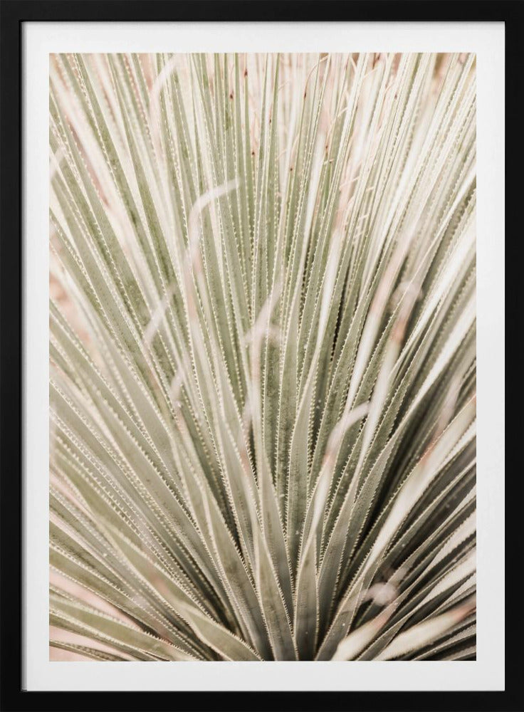 Spiky Serenity | Poster