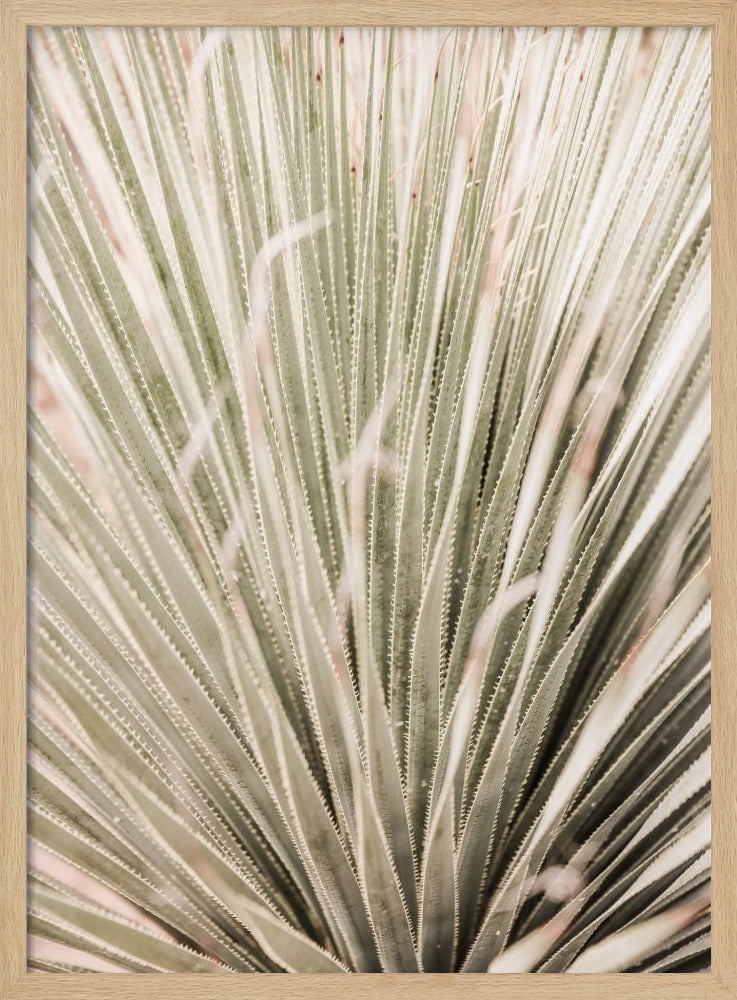 Spiky Serenity | Poster